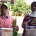 Dinas Kelautan dan Perikanan Provinsi Lampung Bagikan 100 Paket Sembako Untuk Masyarakat Terdampak Covid di Natar
