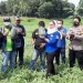 Siti Rahma Panen Raya Bersama Petani Semangka